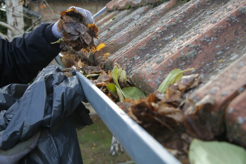 Clean Gutters with Debris Removed