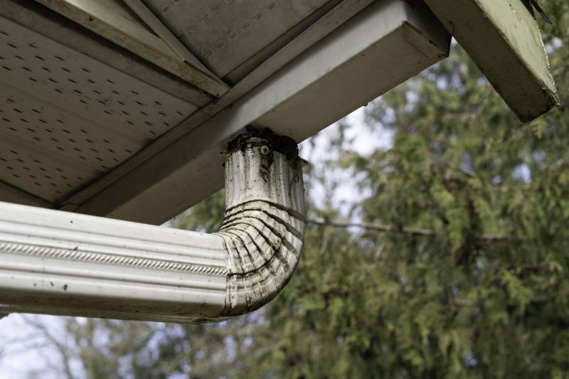 Roof Drainage Repair